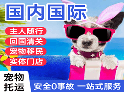 嘎洒机场快运国际宠物托运 【国